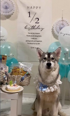 ムウくんの成長6