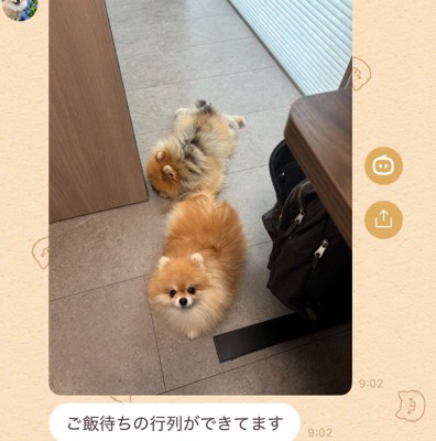 自由奔放な行列でした♪