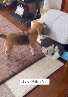 「今日はこれ着てね！！」