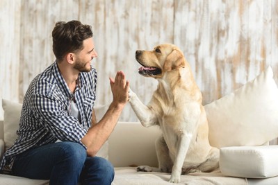 ハイタッチをしている犬と男性