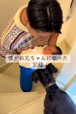 赤ちゃんに近づくゆずくん