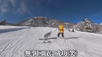 なんとかウンチを回収