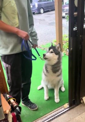 訓練所に迎えに行ったら…