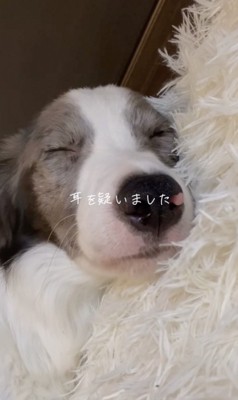 何とかしてあげたいけれど…