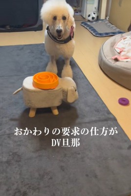 ごはんのおかわりを要求