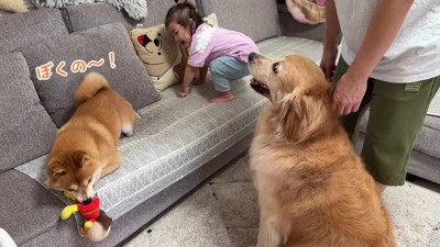 おからちゃんが説得します