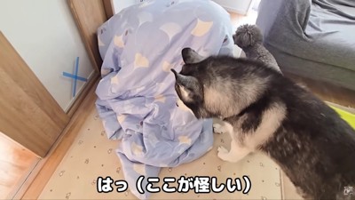 「布団の中じゃない…？」