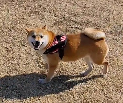 楽しくてニッコリ♪