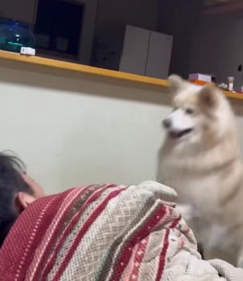 チョンチョンでも起きないと…