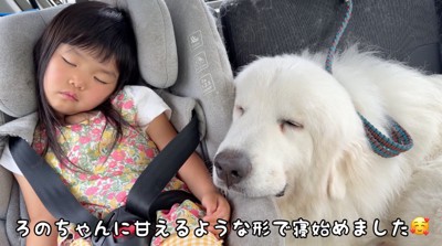 車の中で眠る犬と女の子