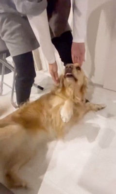 おばちゃんに会えて大興奮のリサちゃん5