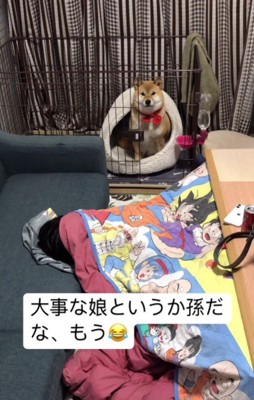 「偉いでしょ」