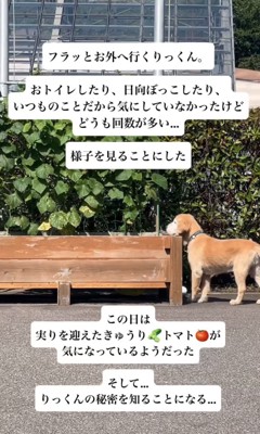 畑の前をうろうろ