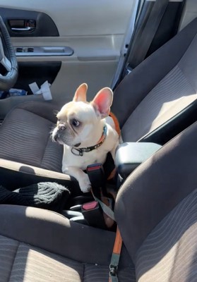 開いたドアをチラリ