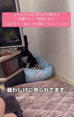 納得したように隠れ家へ