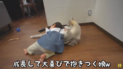 にこちゃんを枕にしたい！