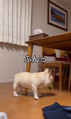 煽られたはち君10