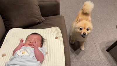 愛と優しさにほっこり♡