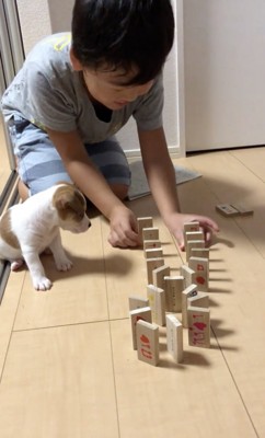 かいとくん「じーっ…」