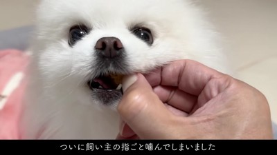 「ごめんね…痛かった？」