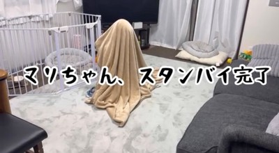 タオルにくるまって座っている人
