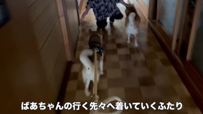 微笑ましい光景にホッコリ♡