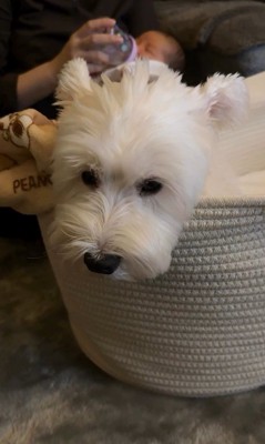 ミルクを飲んでいる時もそばに