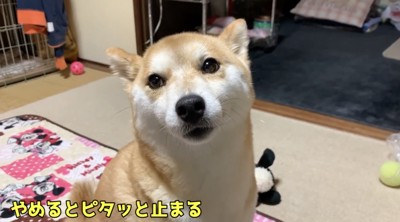 真顔になった