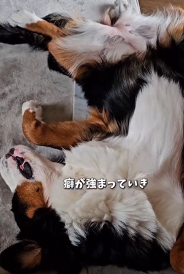 ヘソ天する都ちゃん2