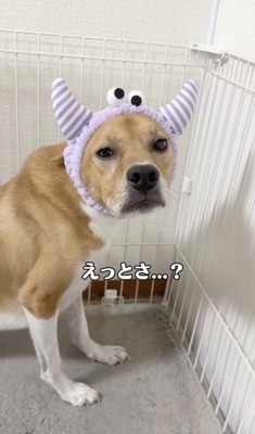 「これは正解なん？」