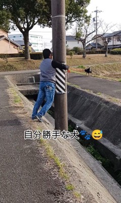 お父さんと定春くんのお散歩8
