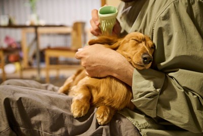 飼い主のそばで安心している犬