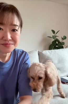 飼い主をつつく小型犬