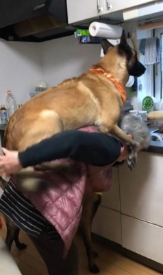 おんぶしてもらうウルルちゃん&シオンちゃん2