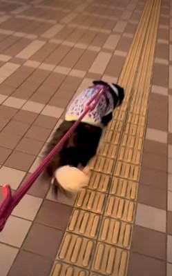 ママに駆け寄る