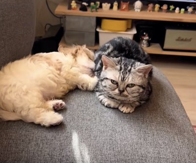 ずっと見ていたい光景です