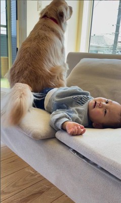 mellowくんに足を踏まれた男の子3