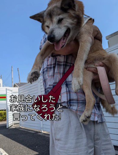 里親さんが見つかった