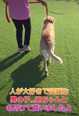 初めてドッグランへ行くと…
