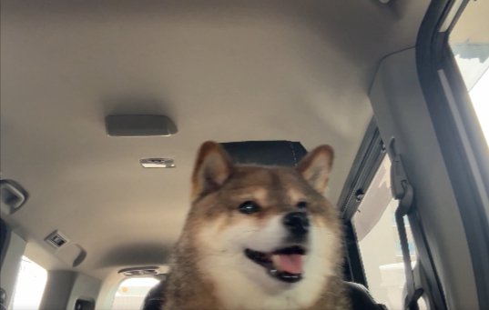 ニパッ