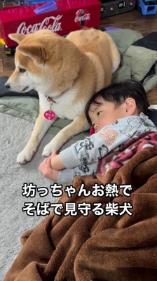 床に寝転がる男の子のそばに座る犬