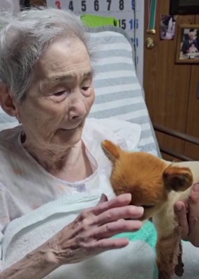 優しくなでてくれた