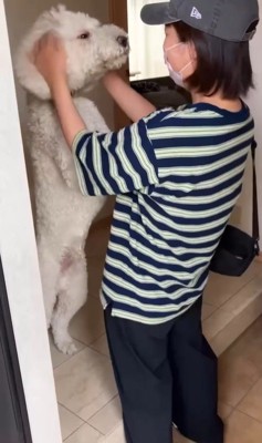 ますお君&まるお君とママさんの再会4