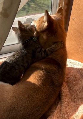 あんずちゃんが大好きなゆずくん