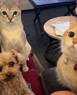 羨ましい一幕でした!