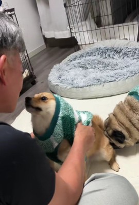 「パパ、分かったよ！！」