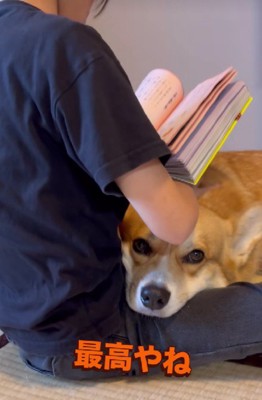 ナデナデが心地よい…♡