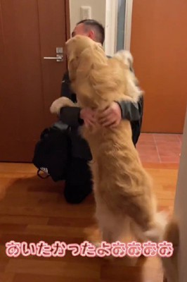 全身でパパを出迎えた