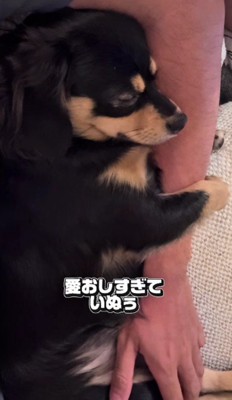 腕にしがみついて寝ることも