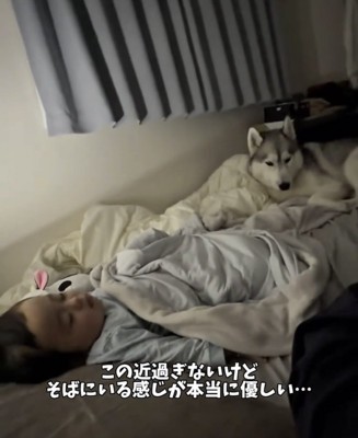 眠る赤ちゃんを遠くから見つめる犬